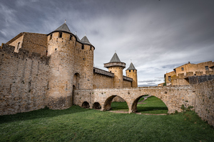 Traitement punaises de lit Carcassonne